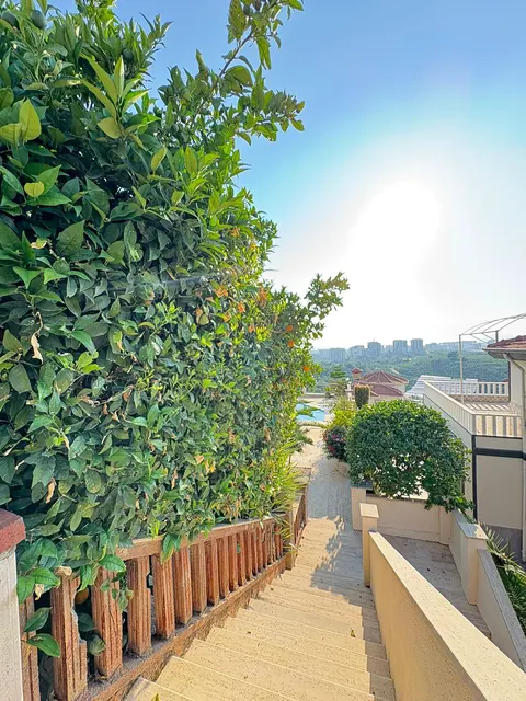 3-bedroom villa in Kargicak | WH-C1E459A4 — property photo 8