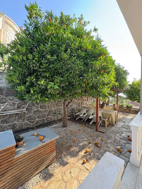3-bedroom villa in Kargicak | WH-C1E459A4 — property photo 27