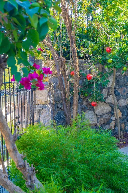 3-bedroom villa in Kargicak | WH-F1AD5BFB — property photo 31